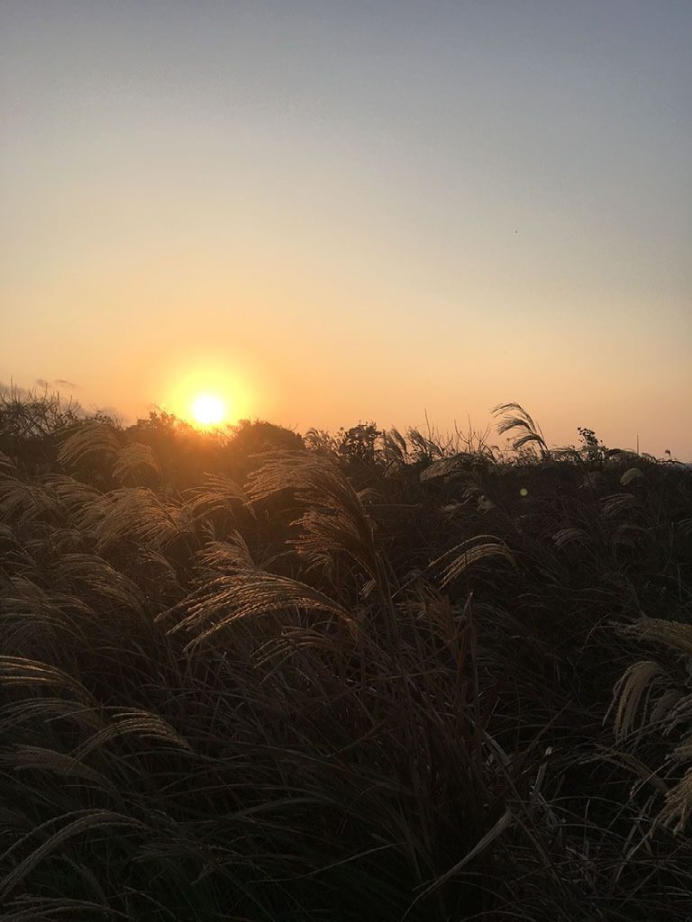 RECONNECT