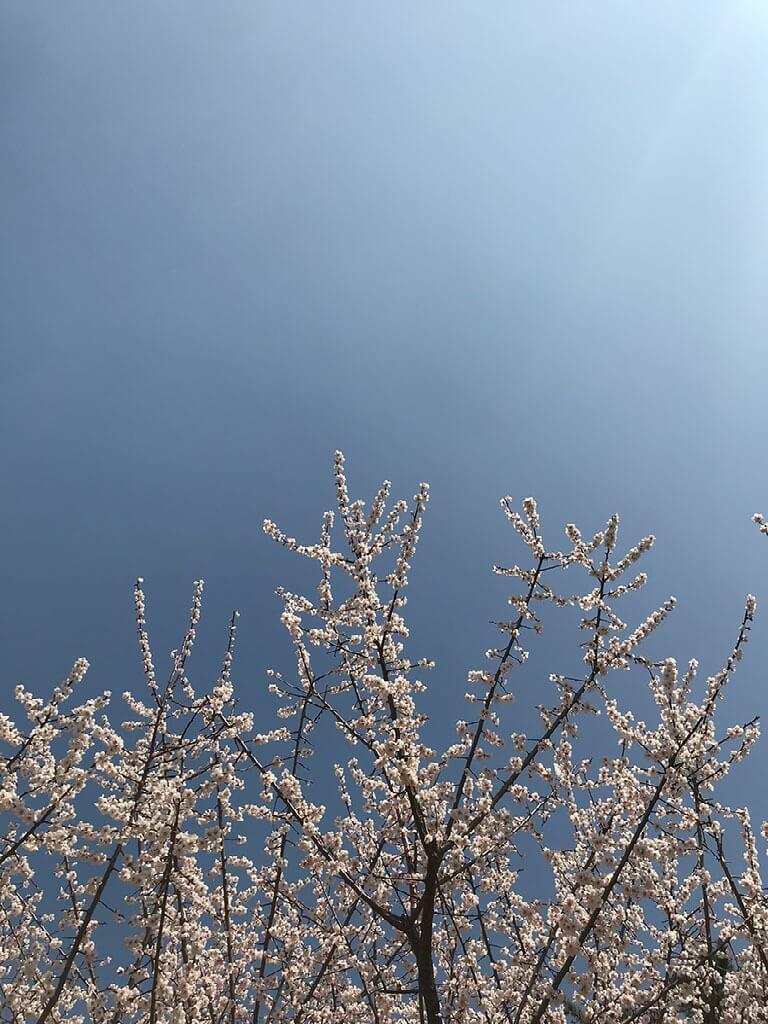 새로운 여정이 시작되었습니다