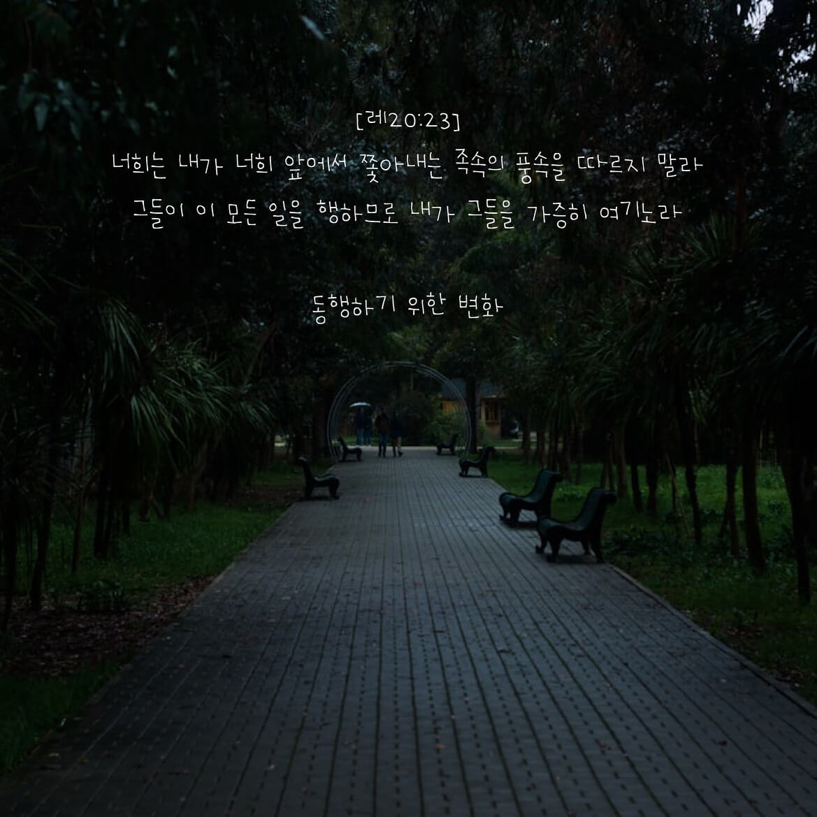 동행하기 위한 변화