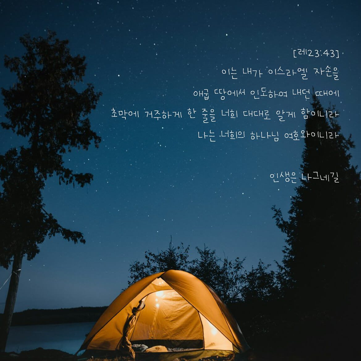 인생은 나그네길