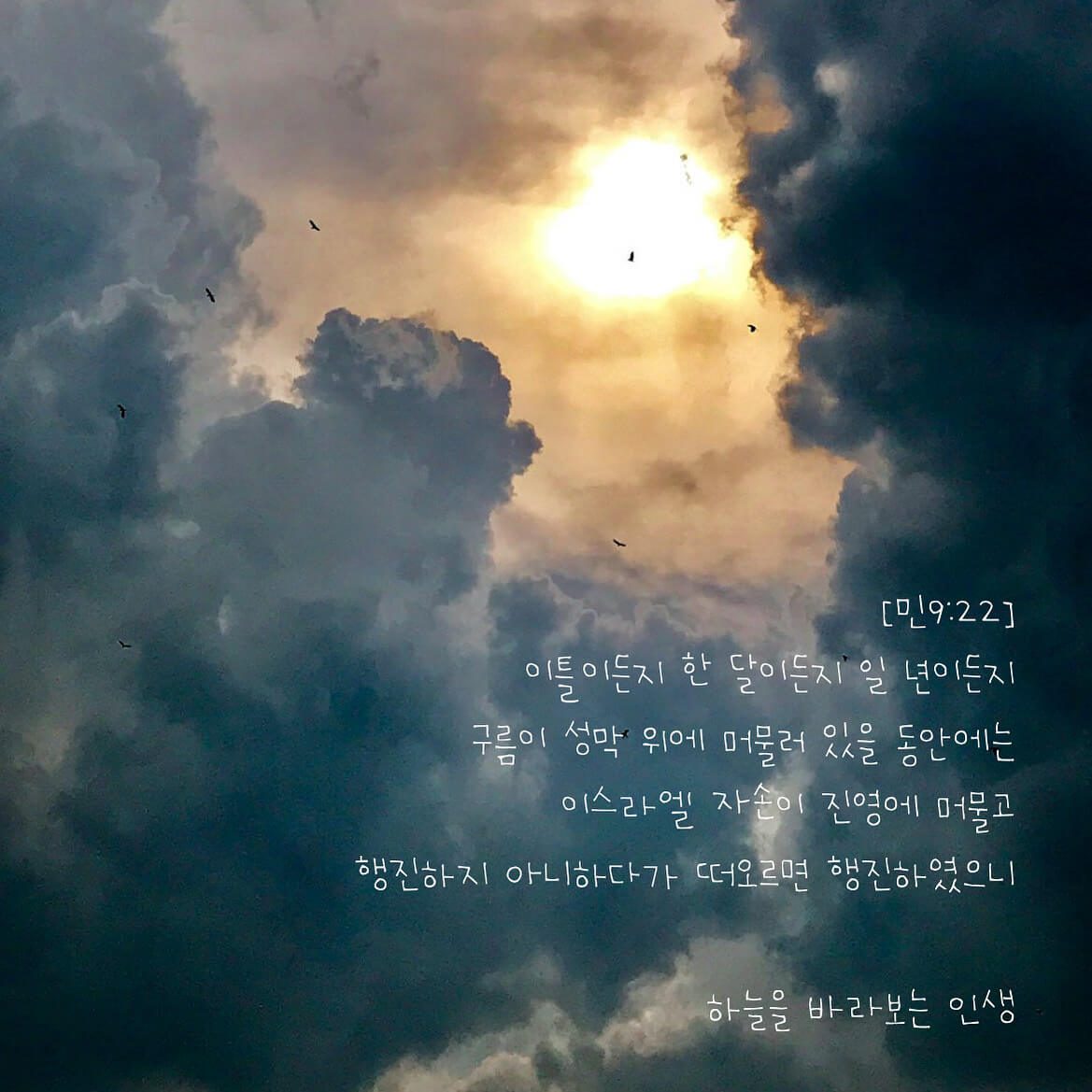 하늘을 바라보는 인생