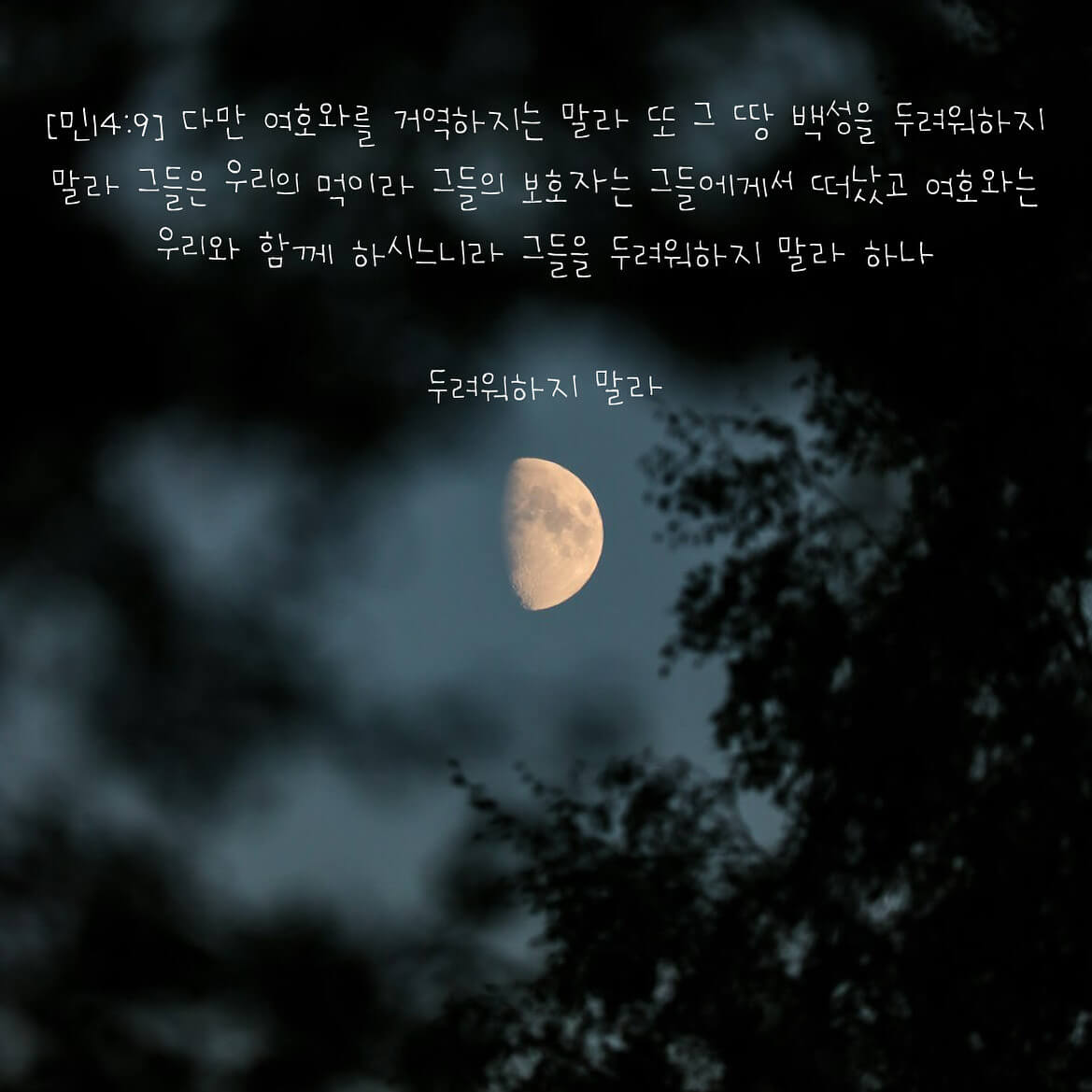 두려워하지 말라