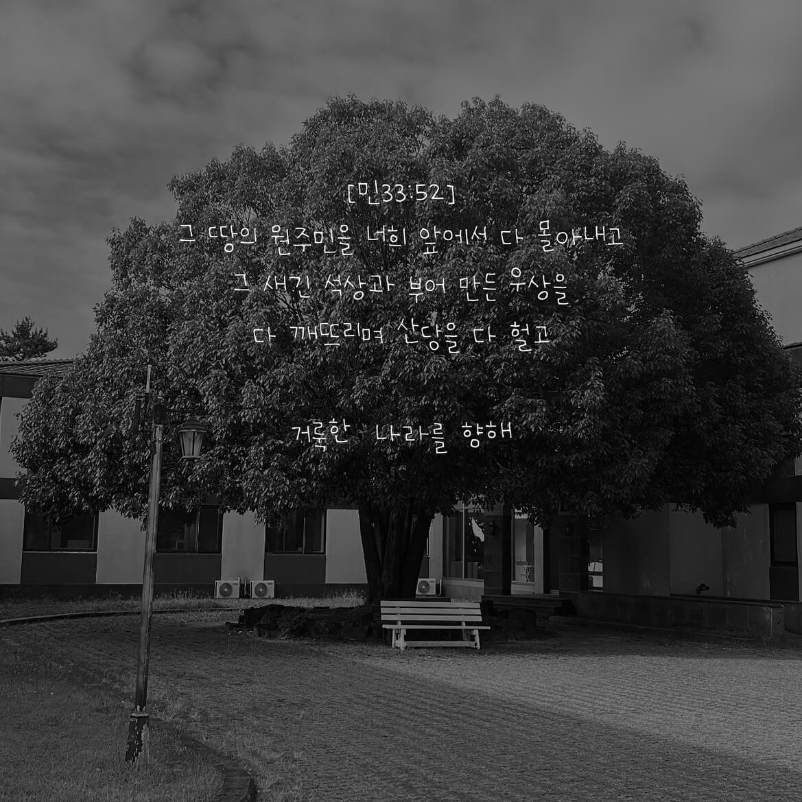 거룩한 나라를 향해