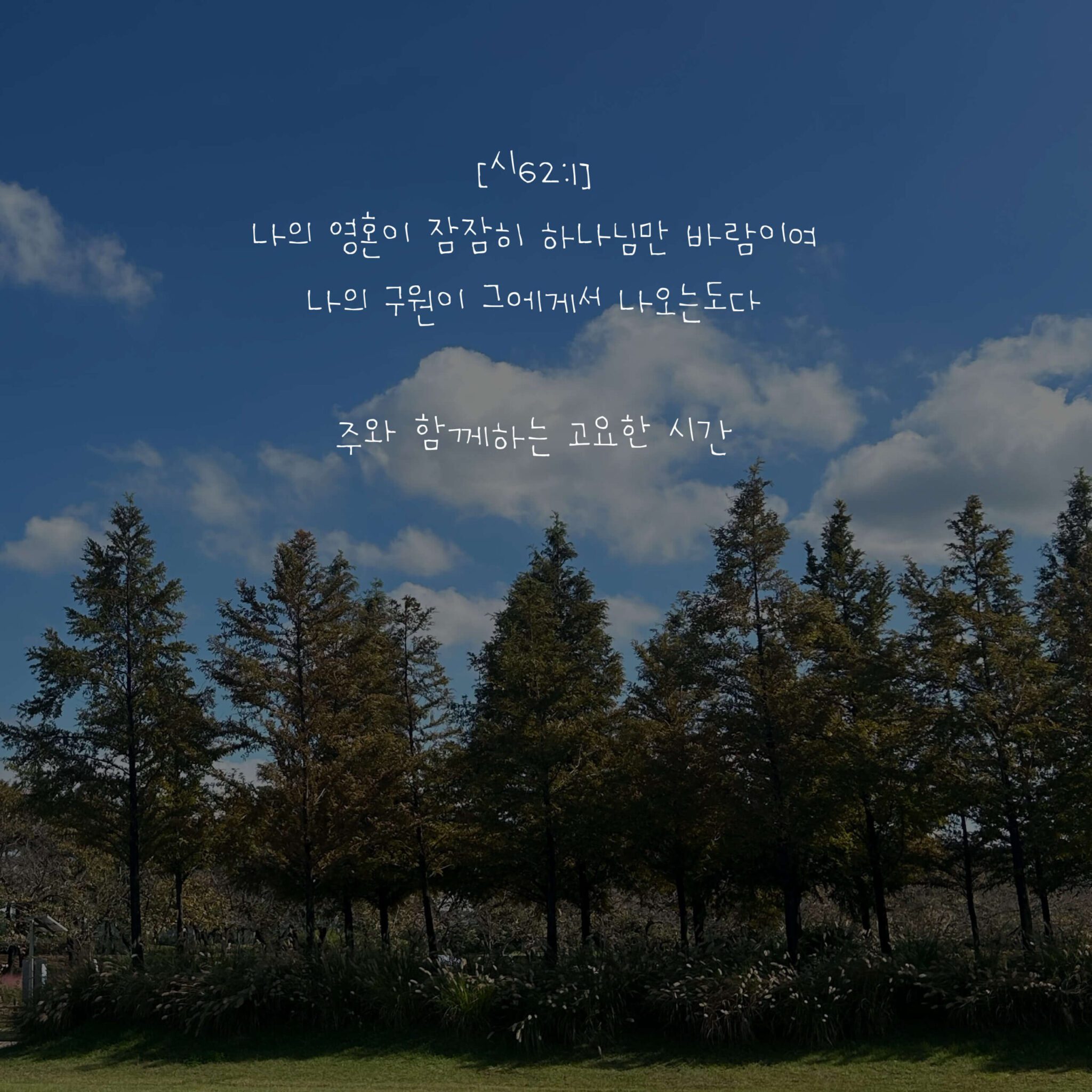 주와 함께하는 고요한 시간