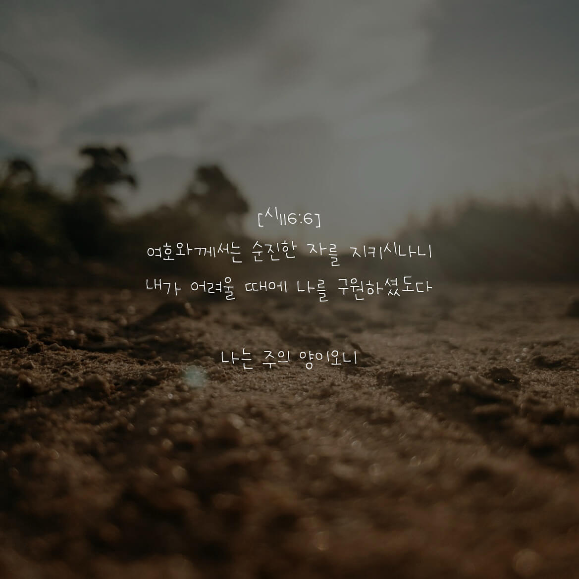 나는 주의 양이오니