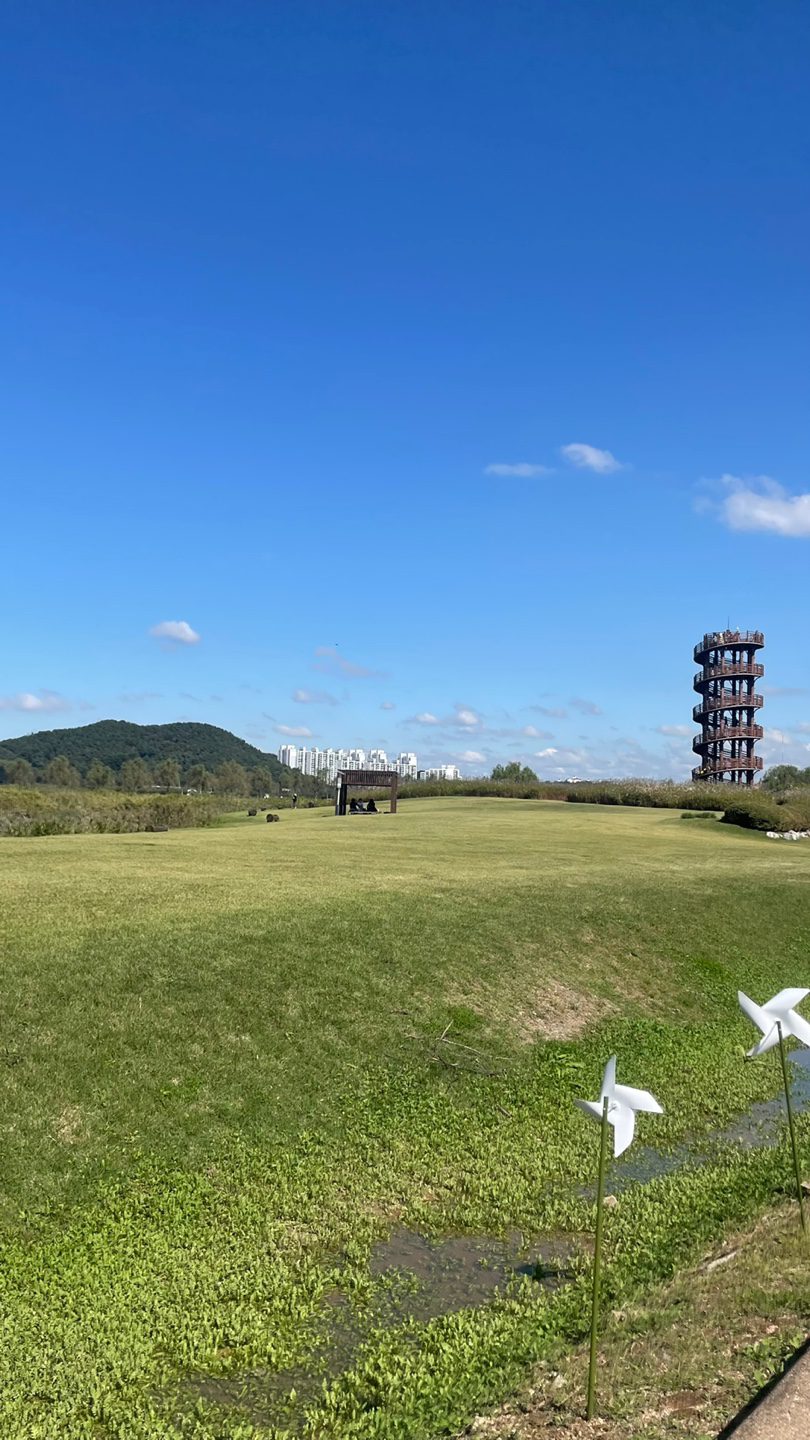 내 생각을 점검합니다