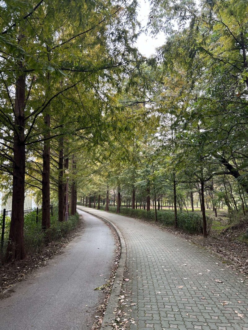 진실한 삶 되게 하소서