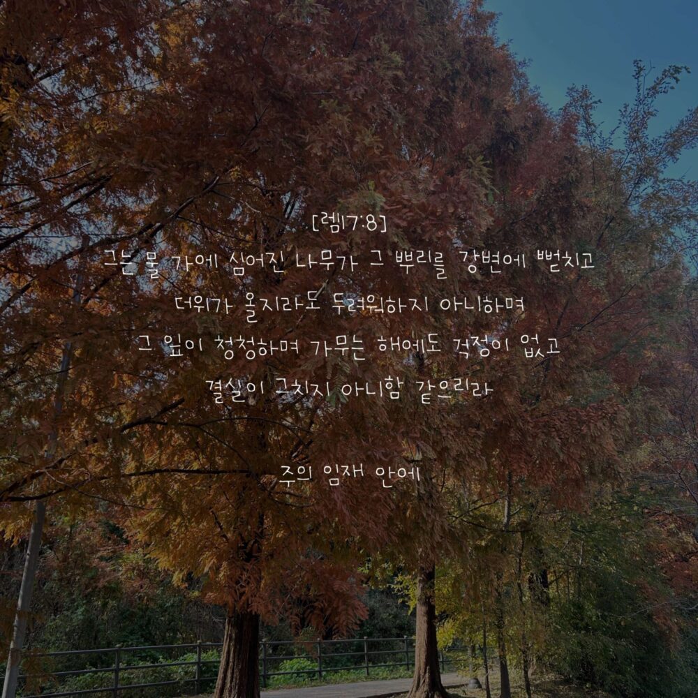 주의 임재 안에