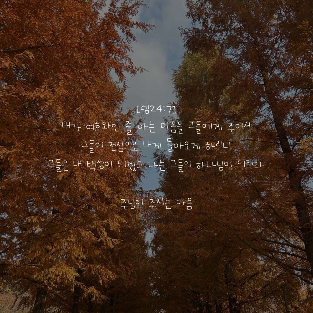 주님 주시는 마음