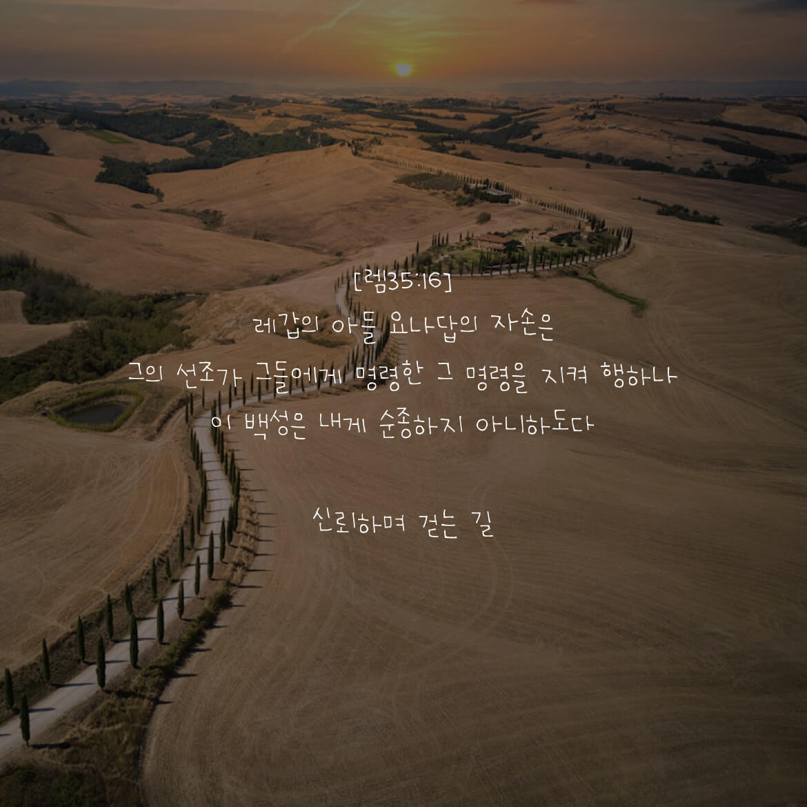 신뢰하며 걷는 길