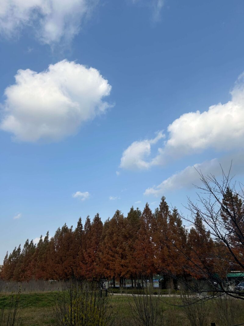 사랑을 위한 공간