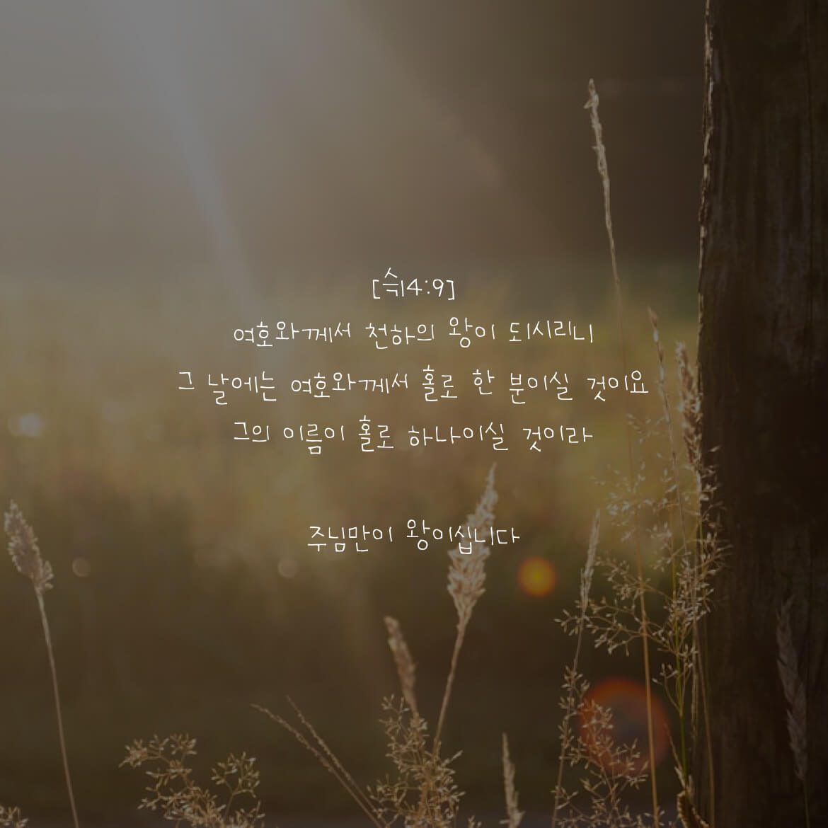 주님만이 왕이십니다