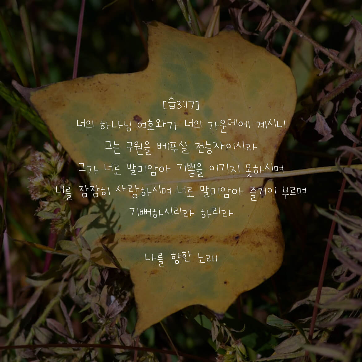 나를 향한 노래