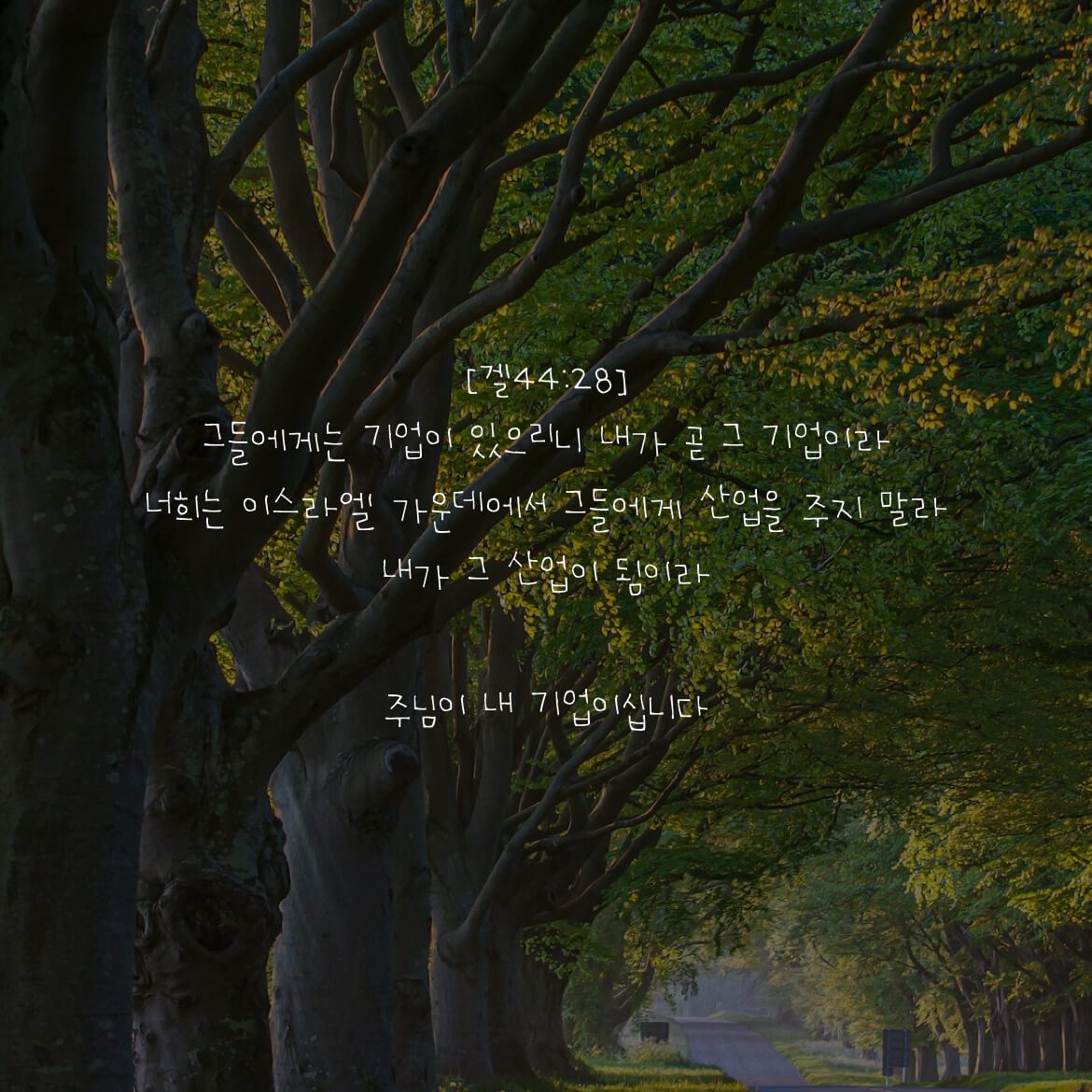 주님이 내 기업이십니다